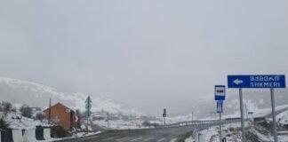 საჩხერე(სარეკი)-უზუნთა-შქმერი-ზუდალის გზაზე მისაბმელიანი და ნახევრადმისაბმელიანი ავტოტრანსპორტის მოძრაობა აღდგა