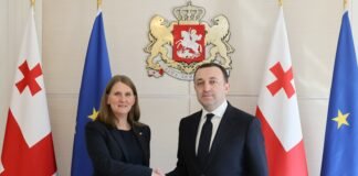 ირაკლი ღარიბაშვილი საქართველოში შვედეთის სამეფოს ახალ საგანგებო და სრულუფლებიან ელჩს − ანა ლიბერს შეხვდა