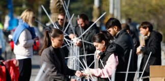 რუსთავში, საახალწლო ილუმინაციების მონტაჟი აქტიურად მიმდინარეობს