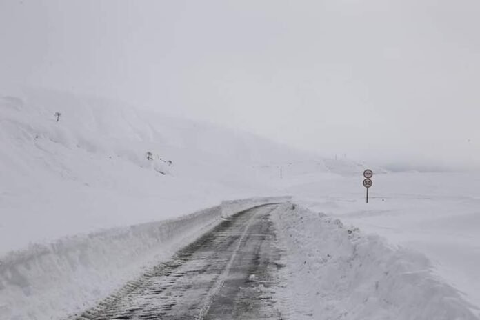 FB_IMG_1700375546773