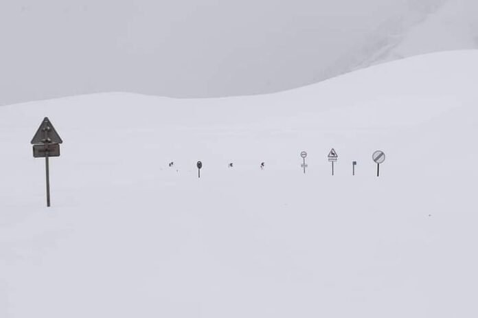 FB_IMG_1700469027634