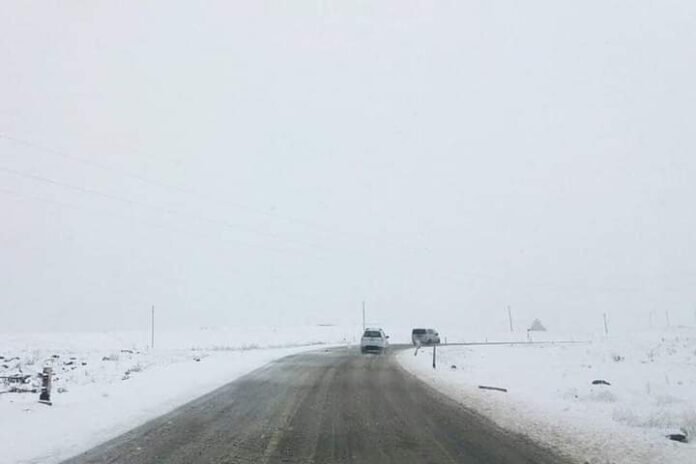 FB_IMG_1700636425582