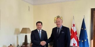 არჩილ თალაკვაძე საქართველოში ჩეხეთის რესპუბლიკის საგანგებო და სრულუფლებიან ელჩს პეტრ კუბერნატს შეხვდა