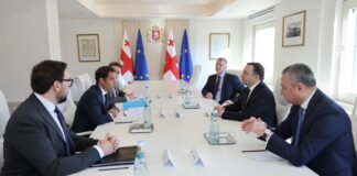 ირაკლი ღარიბაშვილი კავკასიასა და ცენტრალურ აზიაში ნატოს გენერალური მდივნის სპეციალურ წარმომადგენელს − ხავიერ კოლომინას შეხვდა