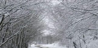 ჟინვალი-ბარისახო-შატილის საავტომობილო გზის კმ63-კმ67 მონაკვეთზე ავტოტრანსპორტის მოძრაობა აღდგენილია