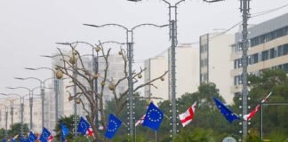 დღეს, დედაქალაქის მიმართულებით მოძრავი მუნიციპალური ტრანსპორტი მგზავრებს უფასოდ მოემსახურება