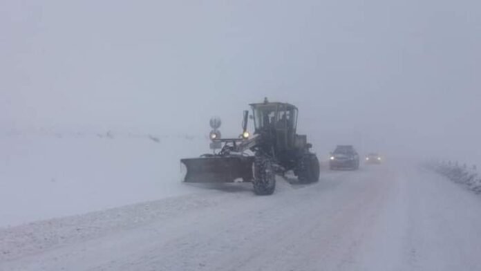 FB_IMG_1702833432796