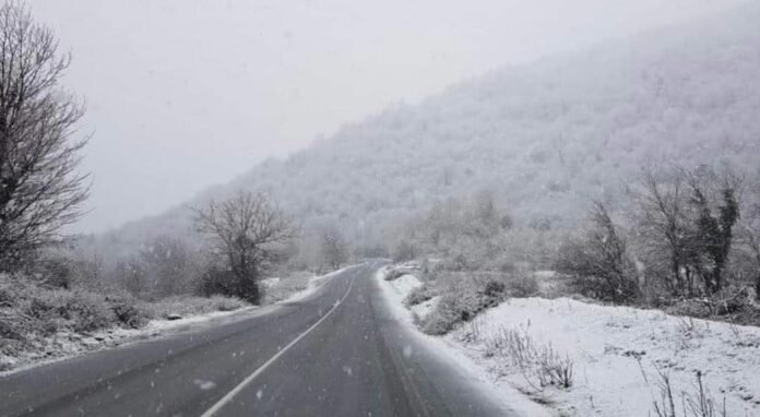 FB_IMG_1703338536484