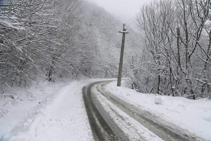 FB_IMG_1703350876523