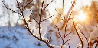 უახლოესი დღეების ამინდის პროგნოზი საქართველოში