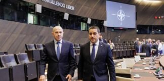 საქართველოს პარლამენტის თავმჯდომარემ ნატო-საქართველოს კომისიის სხდომაში მიიღო მონაწილეობა