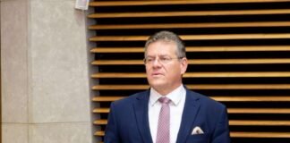 ევროკომისიის ვიცე-პრეზიდენტი: ევროკავშირის გაფართოება იქნება ჩვენი დღის წესრიგის მნიშვნელოვანი თემა, მაქვს პოზიტიური შედეგების მოლოდინი