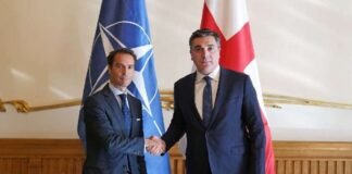 ილია დარჩიაშვილი კავკასიასა და ცენტრალურ აზიაში ნატოს გენერალური მდივნის სპეციალურ წარმომადგენელს ხავიერ კოლომინას შეხვდა