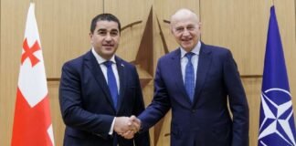 შალვა პაპუაშვილი ნატოს გენერალური მდივნის მოადგილეს მირჩა ჯოანას შეხვდა