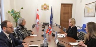 ნინო წილოსანი ნორვეგიის სამეფოს ელჩს შეხვდა