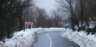 ნაქერალას უღელტეხილზე მისაბმელიანი და ნახევრადმისაბმელიანი ავტოტრანსპორტის მოძრაობა აღდგა