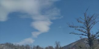 თეთრიწყლები-ვერონას მონაკვეთზე ავტოტრანსპორტის მოძრაობა თავისუფალია