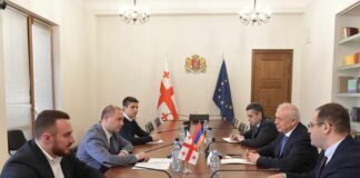 გივი მიქანაძე სომხეთის ელჩს შეხვდა