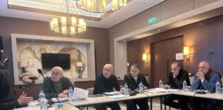 ჯანმრთელობის დაცვისა და სოციალურ საკითხთა კომიტეტმა 2024 წლის სამოქმედო გეგმის ძირითადი მიმართულებები განიხილა