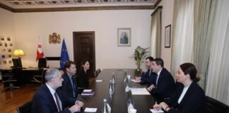 პარლამენტის თავმჯდომარე გაეროს განვითარების პროგრამის საქართველოს ოფისის ახალ ხელმძღვანელს შეხვდა