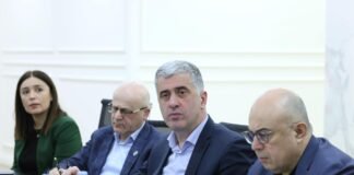 გარემოს დაცვისა და სოფლის მეურნეობის სამინისტროში ევროკავშირის რეკომენდაციების შესრულების სამოქმედო გეგმა განიხილეს