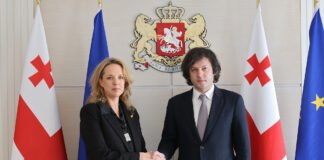 ირაკლი კობახიძე საქართველოში ისრაელის ელჩს, ჰადას მეიცადს შეხვდა