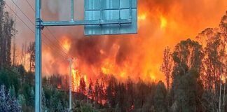 ჩილეში ტყის ხანძრების გამო საგანგებო მდგომარეობა გამოცხადდა