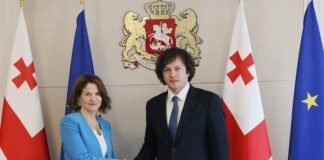 ირაკლი კობახიძე აშშ-ს ელჩს საქართველოში − რობინ დანიგანს შეხვდა