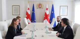 ირაკლი კობახიძე საქართველოში შვედეთის სამეფოს საგანგებო და სრულუფლებიან ელჩს, ანა ლიბერგს შეხვდა