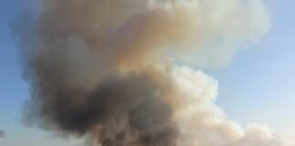 რუსთავში, ალუბლების ქუჩის მიმდებარე ტერიტორიაზე ხანძარია