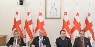 პარლამენტში ახალგაზრდულ საქმეთა საკონსულტაციო საბჭოს სხდომა გაიმართა
