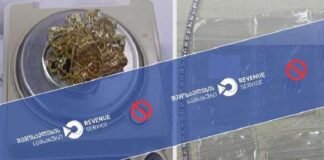 მებაჟე ოფიცრებმა არადეკლარირებული ოქროს შემოტანის ფაქტები აღკვეთეს