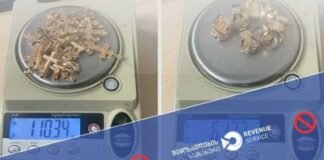 მებაჟე ოფიცრებმა დიდი ოდენობით არადეკლარირებული ოქროს შემოტანის ფაქტი აღკვეთეს