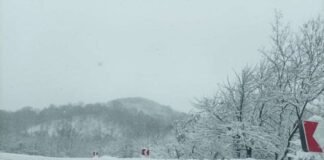 ვერონა-შუამთას მონაკვეთზე ავტოტრანსპორტის მოძრაობა აკრძალულია