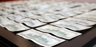 დიდი ოდენობით ყალბი ვალუტის შენახვისა და გასაღების ფაქტზე ეგვიპტისა და ერაყის 2 მოქალაქე დააკავეს