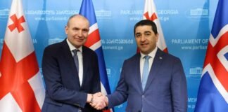 შალვა პაპუაშვილი ისლანდიის რესპუბლიკის პრეზიდენტს შეხვდა