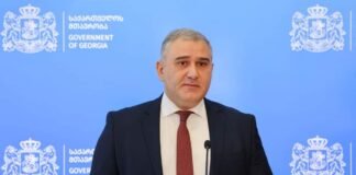 ჯანდაცვის მინისტრის თანამდებობაზე მიხეილ სარჯველაძე დაინიშნა