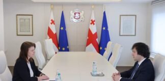 ირაკლი კობახიძე საქართველოში დანიის სამეფოს საგანგებო და სრულუფლებიან ელჩს ენ ტოფტ სორენსენს შეხვდა