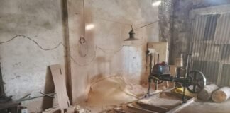 გარემოსდაცვითი ზედამხედველობის დეპარტამენტის თანამშრომლებმა 19 ერთეული დაურეგისტრირებელი სახერხი საამქრო გამოავლინეს