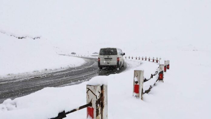 FB_IMG_1711447325399