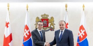 თავდაცვის მინისტრმა საქართველოში სლოვაკეთის რესპუბლიკის ელჩთან შეხვედრა გამართა