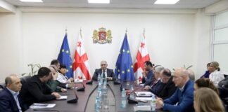 მიხეილ სარჯველაძე სამედიცინო სექტორის წარმომადგენლებს შეხვდა