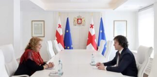 ირაკლი კობახიძე საქართველოში უნგრეთის საგანგებო და სრულუფლებიან ელჩს ანა მარია შიკოს შეხვდა