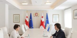 ირაკლი კობახიძე საქართველოში ესტონეთის საგანგებო და სრულუფლებიან ელჩს, რიინა კალიურანდს შეხვდა