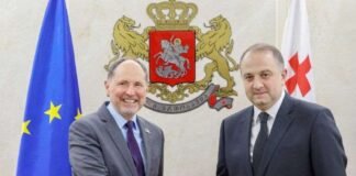 თავდაცვის მინისტრი ევროკავშირის ელჩს შეხვდა