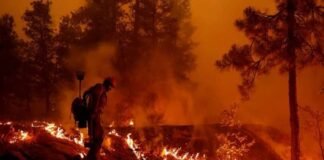 ჩინეთში, სიჩუანის პროვინციაში, მესამე დღეა ტყის ხანძარს ებრძვიან