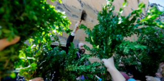 მართლმადიდებელი სამყარო დღეს ბზობას აღნიშნავს