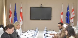 ნინო წილოსანი მსოფლიო ბანკის რეგიონულ დირექტორს შეხვდა