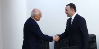 ირაკლი ღარიბაშვილი საქართველოში სომხეთის რესპუბლიკის საგანგებო და სრულუფლებიან ელჩს, აშოტ სმბატიანს შეხვდა