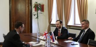 მამუკა მდინარაძე საქართველოში სლოვაკეთის რესპუბლიკის საგანგებო და სრულუფლებიან ელჩს, მატუშ ბუშოვსკის შეხვდა